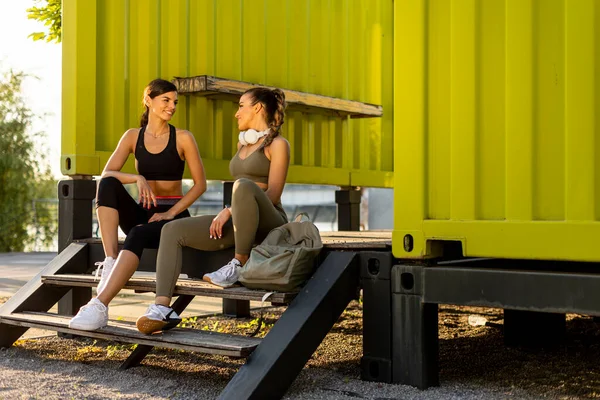 40ft container gym